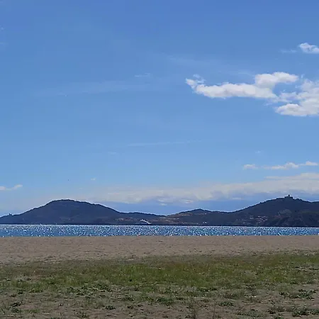 Miggle-moo-sea