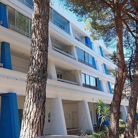 Apartment Miggle-moo-sea